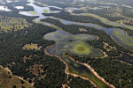 Wetlands, Mato Grosso do Sul
