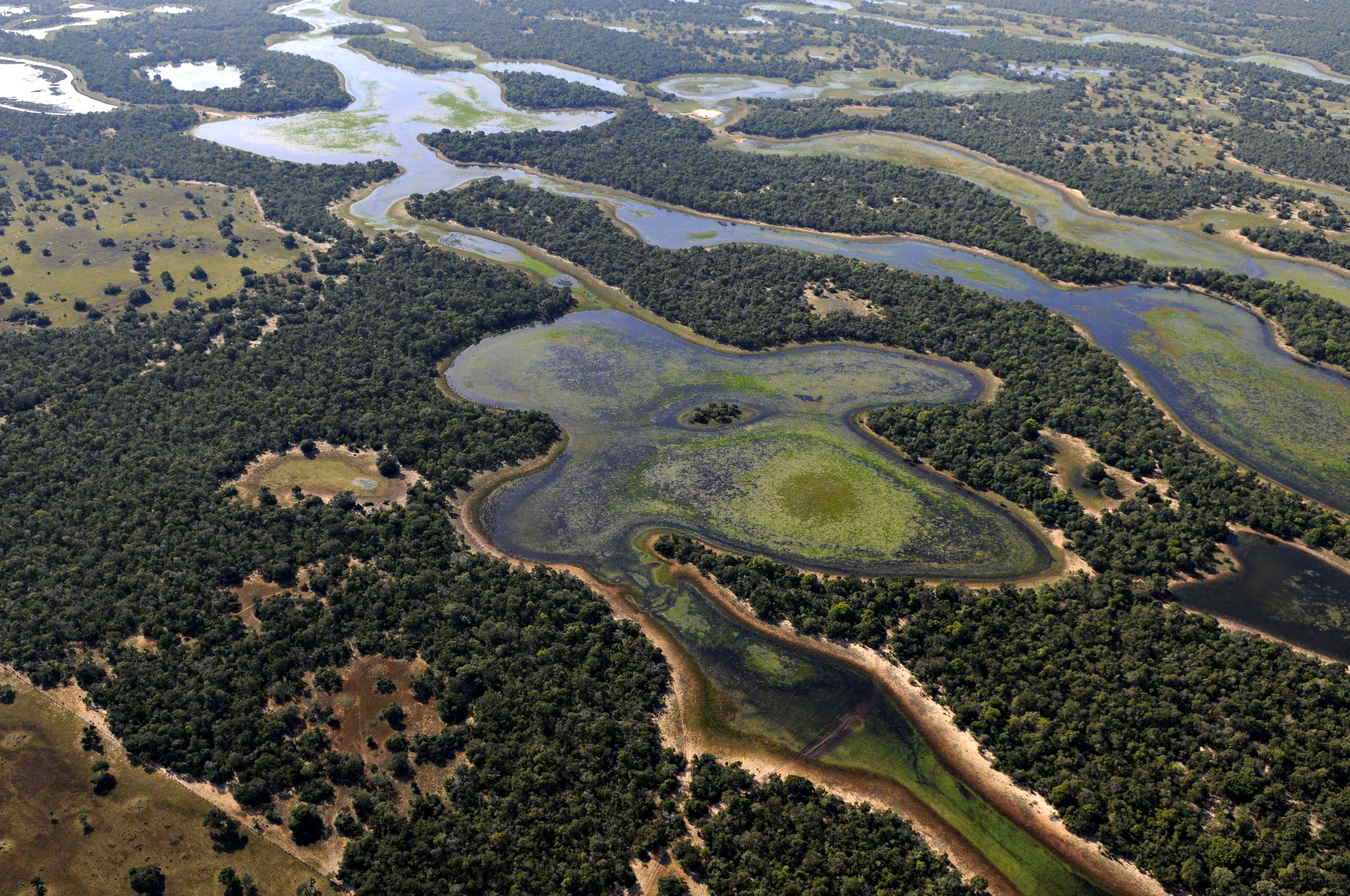 Wetlands, Mato Grosso do Sul