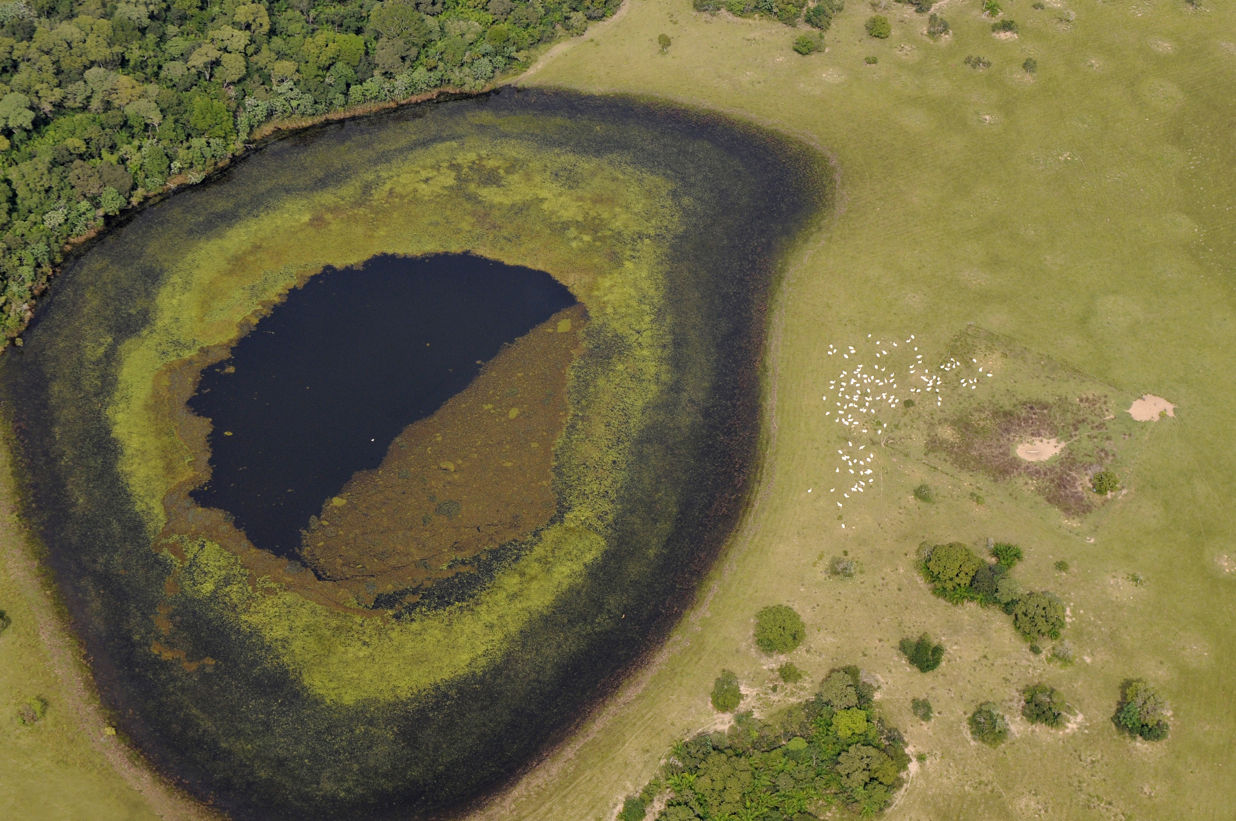 Wetlands, Mato Grosso do Sul