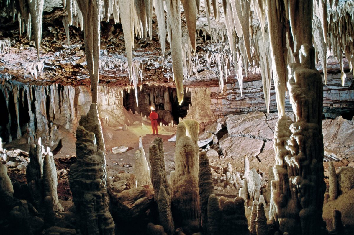 Barriguda Cave, Bahia