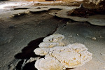 Barriguda Cave, Bahia